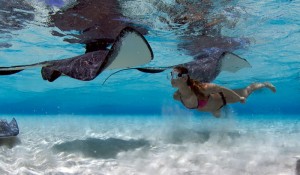 Ilhas Cayman têm recorde de turistas em 2017