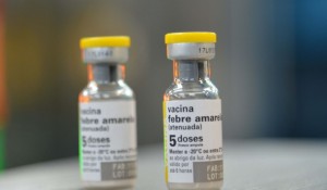 Aruba exige vacina contra a febre amarela a partir de março