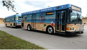 Paradise Coast divulga novos ônibus para a alta temporada na região