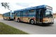 Paradise Coast divulga novos ônibus para a alta temporada na região