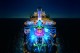 Veja fotos do Symphony of the Seas, maior navio do mundo