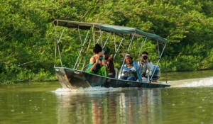Chineses escolhem Pantanal para representar Brasil no World Travel Award
