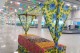 Aeroporto de Natal recebe passageiros em clima de festa junina
