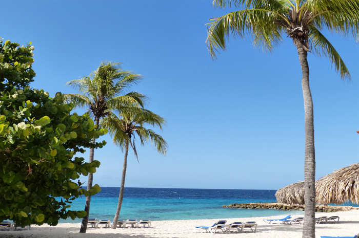 Hotéis de Curaçao crescem no segmento de casamentos; veja fotos 1 M&E conheceu os empreendimentos que ganharam destaque neste segmento Praia Moomba Hilton Curacao Divulgação