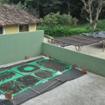Ultima etapa de secagem antes da torra dos grãos de café Ultima etapa de secagem antes da torra dos grãos de café