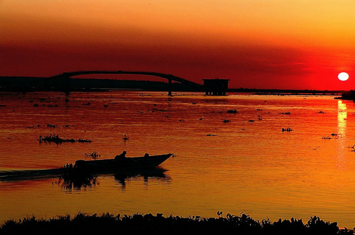 Bloomberg seleciona Pantanal brasileiro como um dos destinos ideais para 2019 1 Pantanal brasileiro foi selecionado pela Bloomberg entre os melhores destinos para 2019