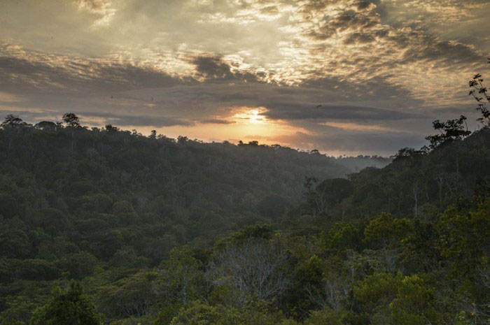 Turismo pode ganhar impulso com concessão de parques Parque Nacional do Pau Brasil