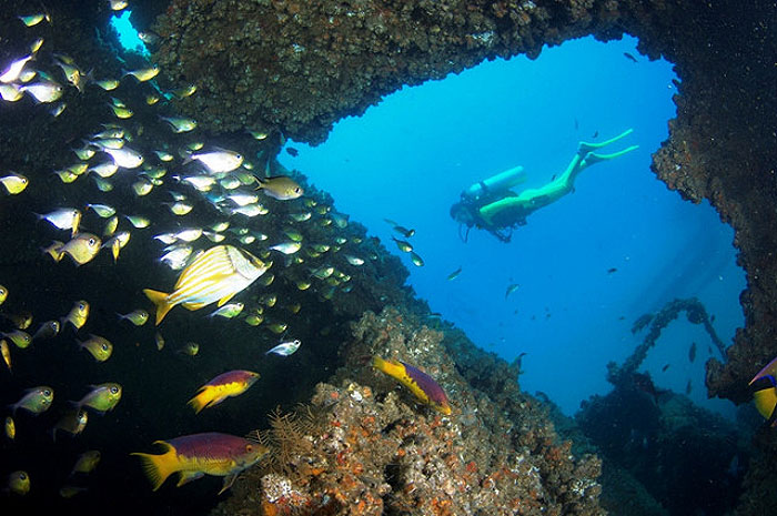 Curiosidades 8 Turismo de Mergulho Cavo Artemidi Marcelo Krause Divulgação Dive Bahia Curiosidades