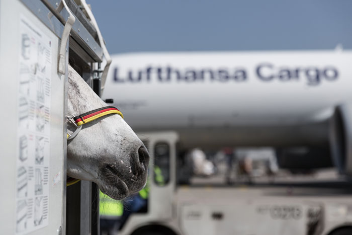 Lufthansa Cargo Animal Lounge, localizado no Aeroporto de Frankfurt