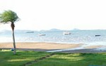 Praia do Paulas - Ingleses 2