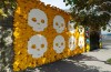 Booking.com revela hospedagem em tradicional casa de “Dia dos Mortos” no México