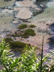 Águas cristalinas do Rio Sucuri