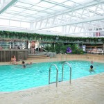 Jungle Pool Lounge é a piscina interna do MSC Seaview