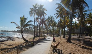 Aviva revela as novidades da Costa do Sauípe para este verão; veja fotos