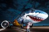 Veja 11 animais que já estamparam fuselagem de aviões pelo mundo