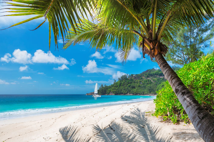 Jamaica realizará feira Japex Live 2020 em novembro 1 O aumento no número de turistas nesse inicio de ano gerou uma receita de aproximadamente USD 800 milhões