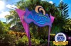 Aquatica Orlando recebe certificado em autismo