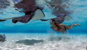 Ilhas Cayman batem recorde e registram 2,3 milhões de visitantes estrangeiros