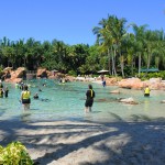 Discovery Cove conta com mais de 6 mil peixes e 250 aves