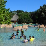 Discovery Cove é um parque reconhecido por todo o seu cuidado e interação com animais marinhos