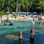 Discovery Cove é verdadeiramente um passeio pela vida marinha