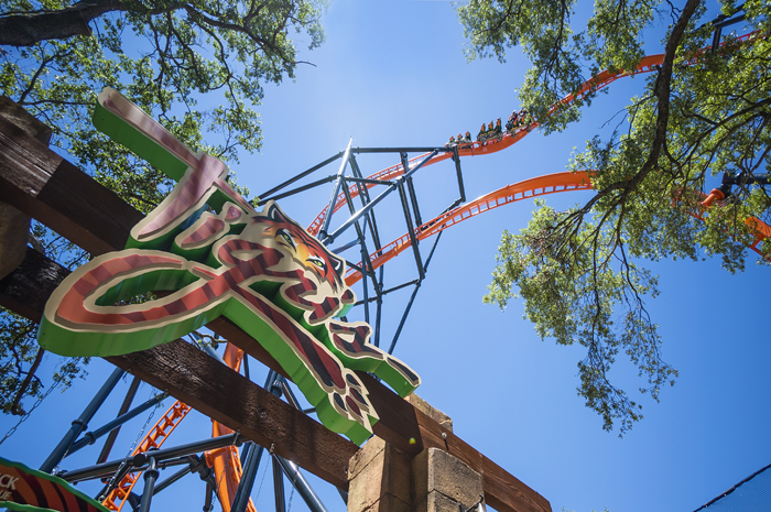 Busch Gardens inaugura nova montanha-russa Tigris nesta sexta (19) 1 Tigris Queue