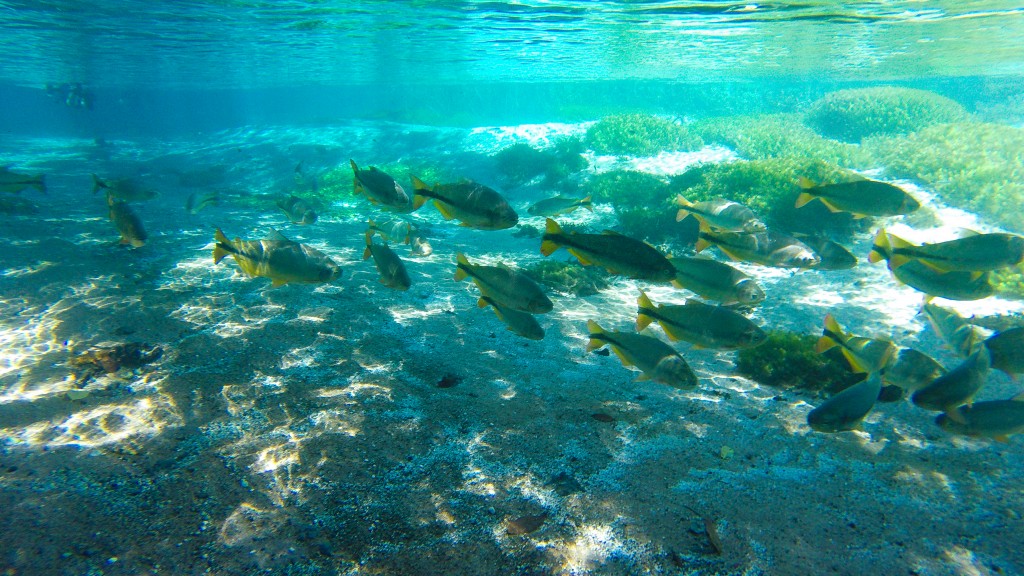 Bonito é um dos principais destinos do País