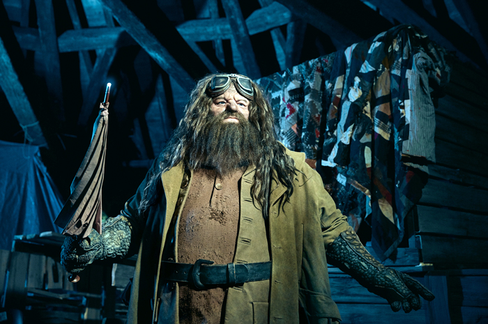 Figura animada de Hagrid é a nova atração realista do The Wizarding World of Harry Potter 1 Os visitantes vão encontrar um dos personagens mais amados da série de filmes Harry Potter de uma maneira inédita, como parte da nova adição épica ao The Wizarding World of Harry Potter