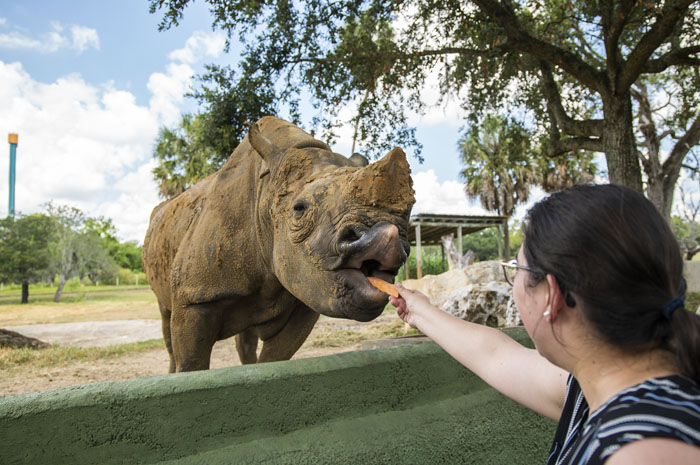 Busch Gardens Tampa Bay tem 2 novos tours de bastidor