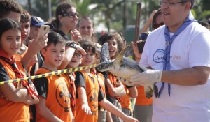 SeaWorld & Busch Gardens Conservation Fund celebra novos projetos no Brasil