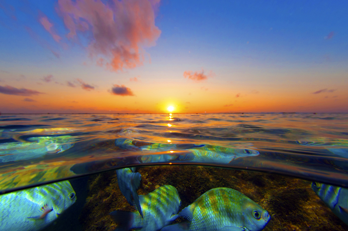 Porto de Galinhas encerra roadshow de 2019 na região Norte do Brasil 1 Ações do destino serão retomadas no primeiro semestre do próximo ano com novo nome e formato. Só este ano, mais de mil pessoas foram capacitadas sobre o destino