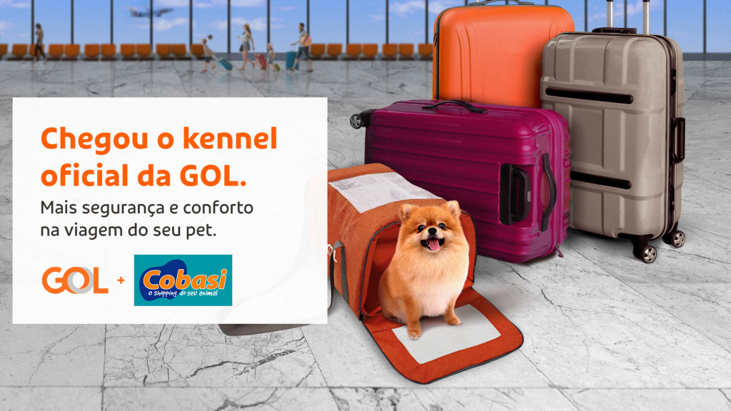 Gol lança caixa de transporte exclusiva para animais de estimação 1 unnamed
