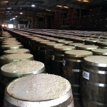 Os molhos levam quase três anos para fermentar e ficarem prontos