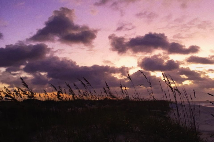 O que fazer no Sul dos Estados Unidos? Conheça roteiro inédito em 60 fotos 3 Praia na cidade de Gulf Shores no Alabama