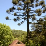 Centro Histórico Ambiental Parque Estadual do Caracol Canela-RS