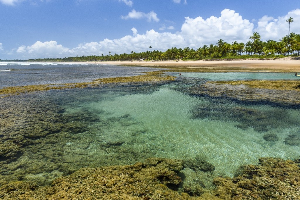 Bahia é o destino mais procurado do Hurb pelo segundo ano consecutivo 1 unnamed