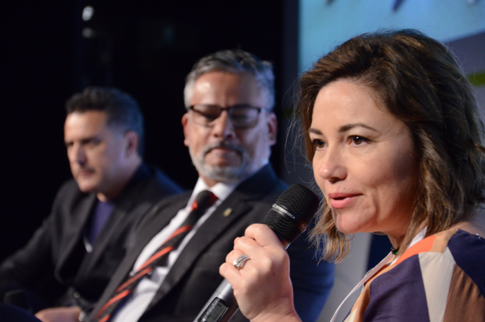 Conectividade é essencial para Brasil colher frutos da isenção de vistos 4 Flávia Didomenico, presidente da Santur