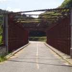 Ponte de Ferro Alberto Torres
