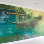 História de grandes dinos preservada em Salgadeira