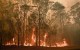 Emirates ajuda na recuperação da Austrália após incêndios florestais