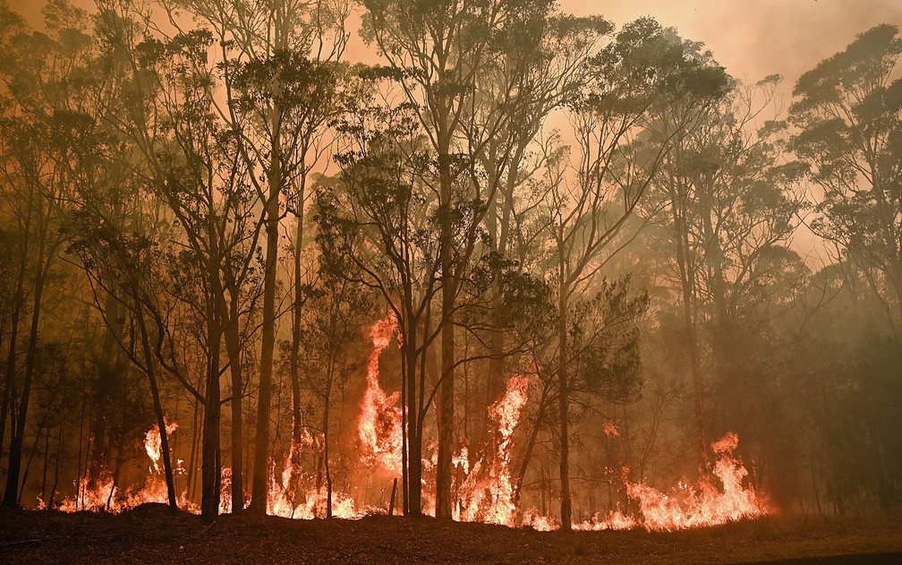 Emirates ajuda na recuperação da Austrália após incêndios florestais 1 (Foto: Peter Parks / AFP Photo)