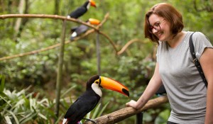 Com mais de 930 mil visitantes, Parque das Aves bate recorde de visitação anual