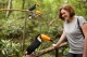 Com mais de 930 mil visitantes, Parque das Aves bate recorde de visitação anual