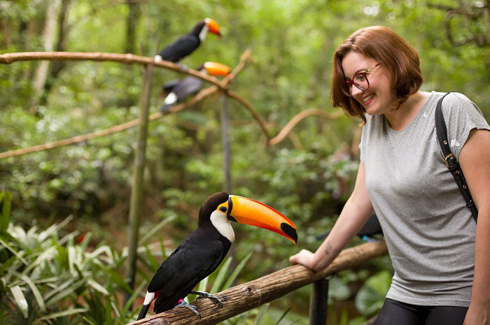 Parque das Aves registra recorde de visitação em 2019