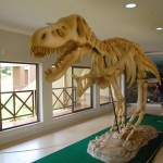 Réplica de dino a partir de fósseis encontrados na Chapada