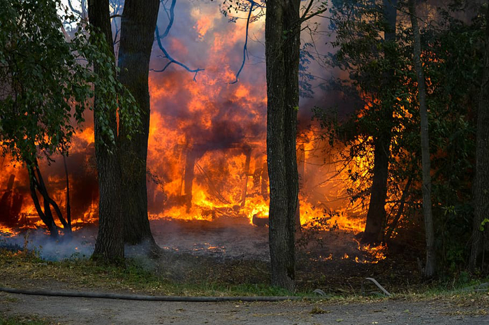 Noticias 4 incendio Noticias