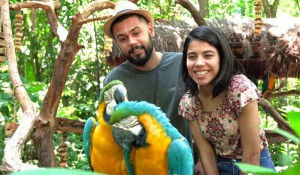 Parque das Aves espera receber mais de 22 mil visitantes durante Carnaval