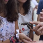 A atividade é uma forma de conscientização sobre a preservação das espécies e do oceano