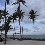 Vista para a Praia do Forte