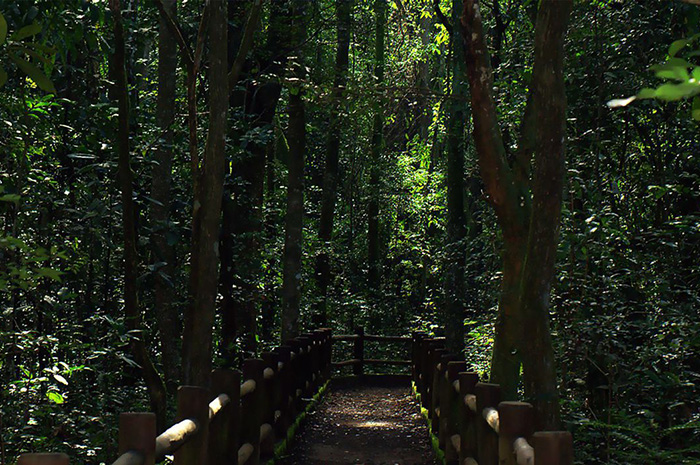 Trilha da Capivara, no Parque Nacional de Brasília (Divulgação)